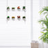 OtNiap 2-Tier 16inch,Indoor Clear Hanging Window Plant Shelves Windows Wall Hanging Plant Stand Flower Display,Flower
