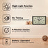 6 inch Analog Alarm Clock, Silent Non Ticking Small Clock with Night Light, Battery Operated Simply Design for Bedroom