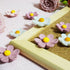 18 Pcs Flower Refrigerator Magnets, Cute Pink Refrigerator Magnets for Whiteboard, Girls Locker Magnets