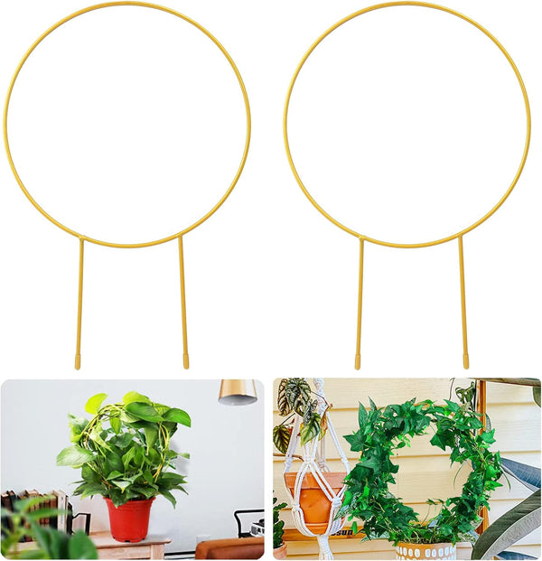 Kiouposy 2 Pack Circle Trellis for Climbing Plants Indoor, 15" Gold Small Plant