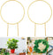 Kiouposy 2 Pack Circle Trellis for Climbing Plants Indoor, 15" Gold Small Plant