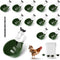 Chicken Water Cups 12 Pack, Automatic Filling Waterer Feeder Bowl, Gravity Poultry
