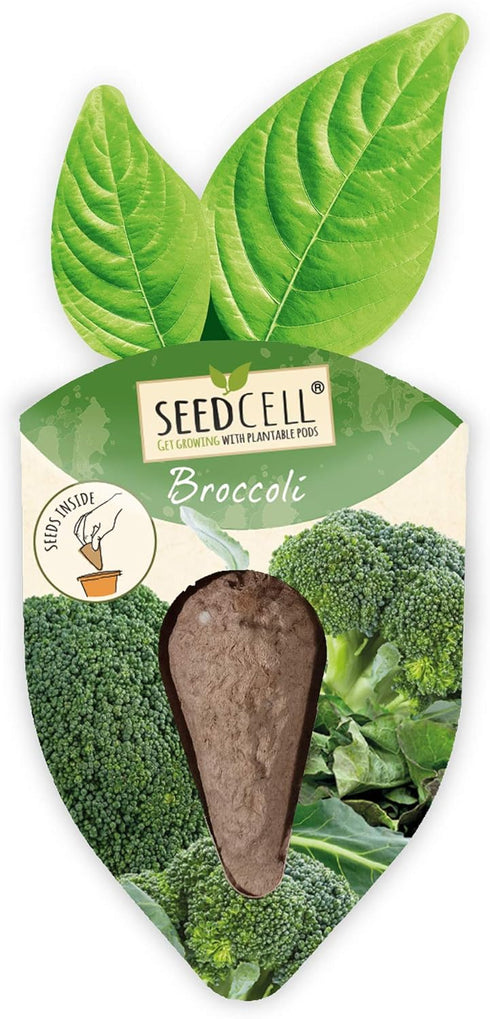 Pack 1 Vegtrug Seed Pods Kit - Vegetable Patch, Non-GMO Seeds with Fully Biodegradable Seed Pods, Contains Seeds