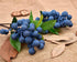 4 DS. DISTINCTIVE STYLE Artificial Blueberries Pieces Lifelike Faux Fruit Berries Fake Flowers for Decoration (Blue)