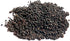 Axel's Garden Seeds Packet (1 Packet 250 Organic Broccoli Seeds for Sprouting Microgreens Heirloom, Non GMO Seed