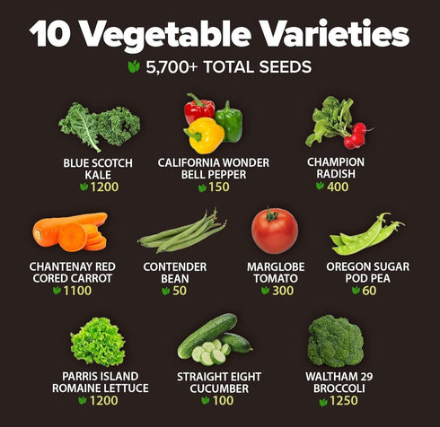 10 2000+ HOME GROWN Variety Survival Seed Vault USA Grown Heirloom Non-GMO Vegetable Seeds for Planting, High