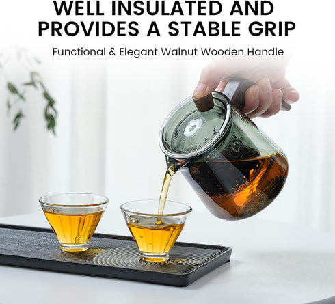 Glass Teapot with Removable Glass Infuser, 17oz/500ml Teapot Kettle for Blooming and Loose Leaf Tea Maker