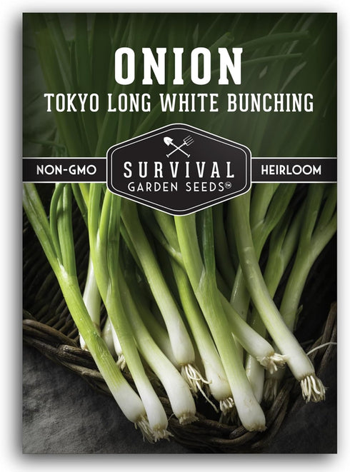 Tokyo Long White Bunching Onion Seeds for Planting Fast-Growing Japanese Negi Green