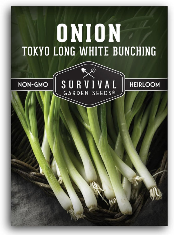 Tokyo Long White Bunching Onion Seeds for Planting Fast-Growing Japanese Negi Green