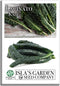 Lacinato Kale Seeds (Brassica oleracea var. palmifolia) 500+ Heirloom Non-GMO Seeds by