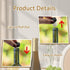 vibedor 24 Pcs T-shaped Stopper Cork Wine Bottle Stoppers, Reusable Sealing Plug for Wine Bottles, Beer Bottles DIY