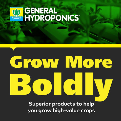 Premium pH Up Liquid Buffer for Hydroponics - Quart Size