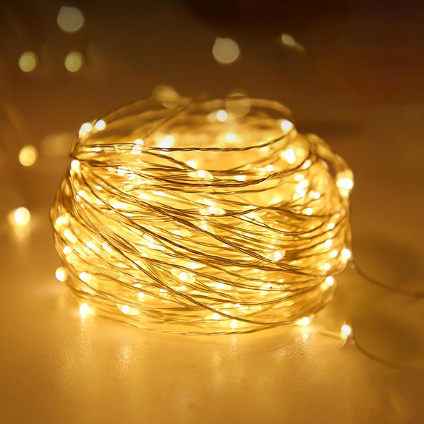 Kangheshun Timer Led Fairy Lights,1 Pack Mini Battery Powered Silver Wire Starry Tiny