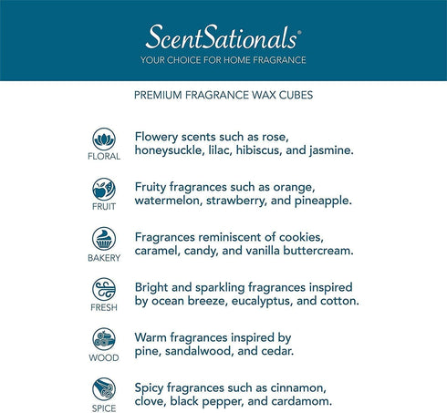 Scentsationals Wax Melts, Pumpkin Spice, Long Lasting Scented Melts, 10oz (24-Cubes)