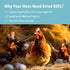 10lb Birds(10 WormsFarm Dried Black Soldier Fly Larvae Treat for Chickens More Calcium Than Mealworms,for Laying