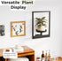 1 Pack Bamworld Plant Stand Indoor Wall Decor Metal Plant Hanger Indoor Hanging Plant Holder Wall-Mounted Planters