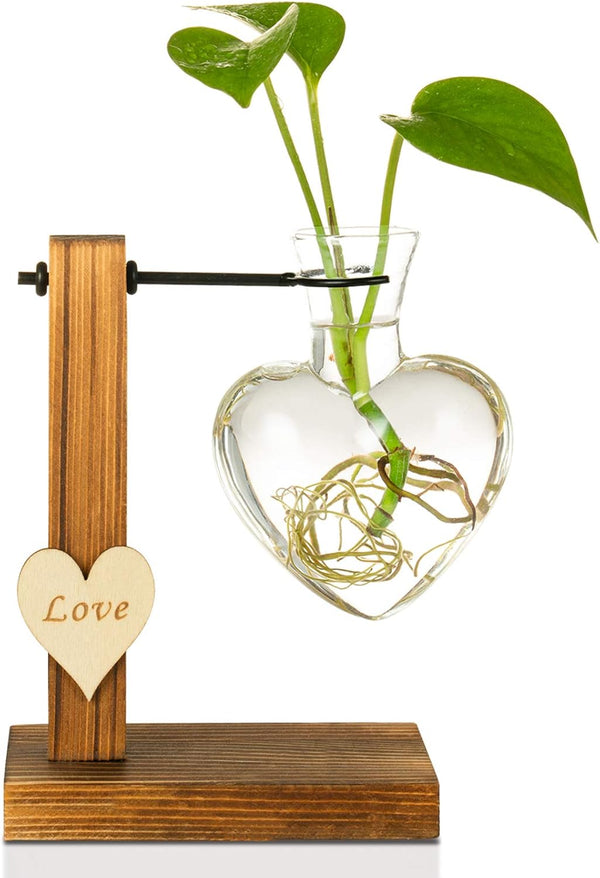 Kingbuy Hydroponic Glass Vase Vintage Desktop Plant Terrarium Planter Bulb Vase Water