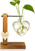 Kingbuy Hydroponic Glass Vase Vintage Desktop Plant Terrarium Planter Bulb Vase Water