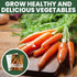 126 5,000 2026 5 Carrot Danvers Premium Seeds for Planting Classic, Reliable Heirloom Variety for Strong, Sweet Roots