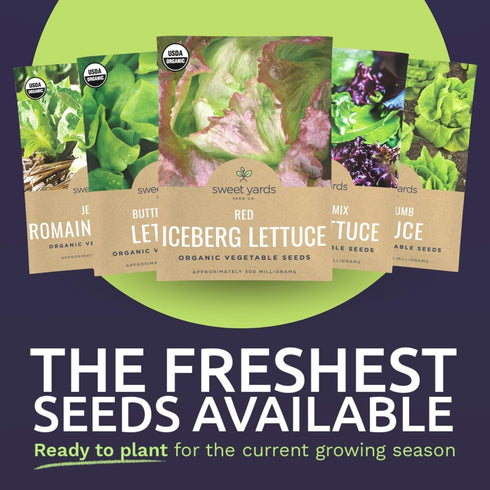 Pack 5 Packs 2026 Organic Lettuce & Greens Seeds Variety - Individual - Season - Buttercrunch, Gourmet Mix, Romaine