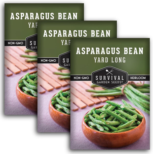 3 Packets Asparagus Yard Long Bean Seeds for Planting with Instructions to