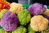 Harley Seeds 50 4 This is A Mix Cauliflower Mix Seeds Heirloom Non-GMO Varieties Purple Green Yellow Delicious