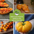 Sow Right Seeds - Yellow and Orange Tomato Seed Collection for Planting - Brandywine, Jubilee, Kelloggs Breakfast