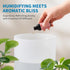 2.5L 25H Clarston Humidifiers for Bedroom, Cool Mist Humidifier with Essential Oils Diffuser and Nightlight, Top Fill