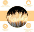 XMASHOME 63.8FT 300 Count (150L*2pcs) White Wire Clear String Lights, Incandescent Christmas Lights