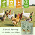 Goose,10 oz Chicken Gut Modulator of Health, Natural Formula Anti Diarrhea Modulator Powder for Chickens & Poultry