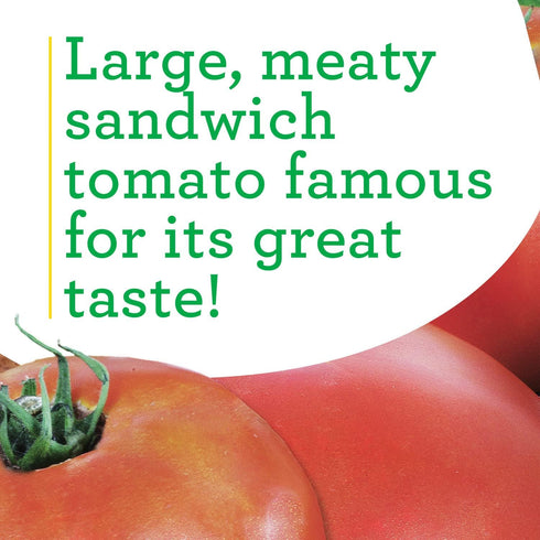 19.3 oz., 4-Pack, Bonnie Plants Park's Whopper Improved Tomato, Live Plants