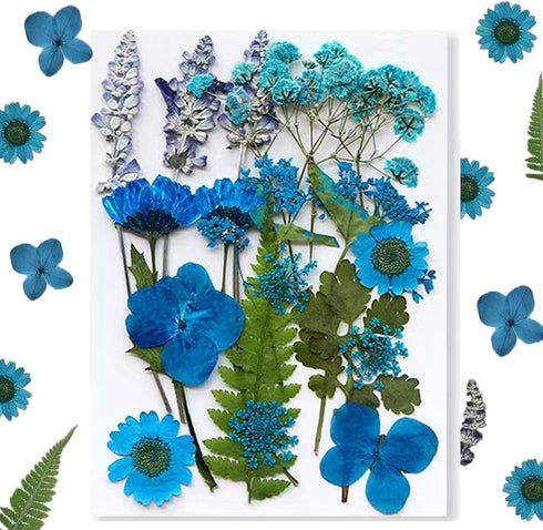 Flowers for Resin Model, Real Pressed Flowers Dry Leaves Bulk Natural Herbs Kit for Scrapbooking DIY Art