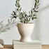 Ceramic Vase with Handles - Modern Terracotta Rustic Pottery for Home Decor,