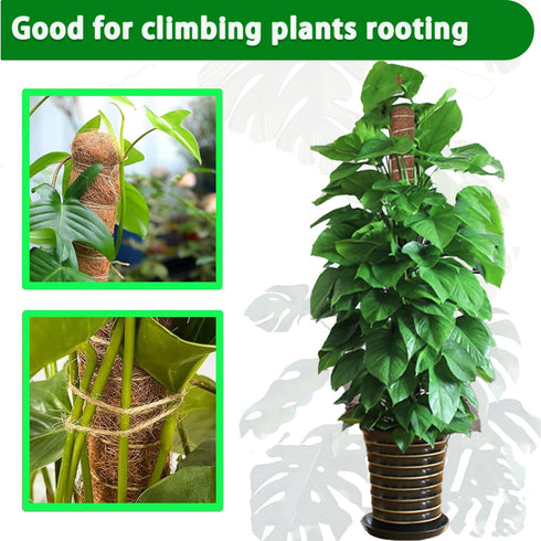 PLANTPOLEX 2 Pack 17 Inch Moss Pole, Monstera Plant Support for Climbing Plants Accessories Indoor, Stackable Moss