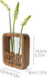 2 Walnut Wood Terrarium Planter - Glass Test Tube Vase & Boho Plant Stand for Hydroponics, Home Office Desk Decor