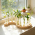 Melphoe Glass Bud Vases Small Flower Vase for Centerpieces Wedding Table Decorations, Home Decor, Propagation Station