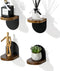 SAYAYO Small Floating Shelves for Wall Storage, 4 x 4 Inch Adhesive