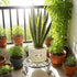 2 Pack 12" Plant Stands, Heavy Duty Rustproof Metal Plant Holders for Indoor and Outdoor Use, Wrought Iron Round Flower