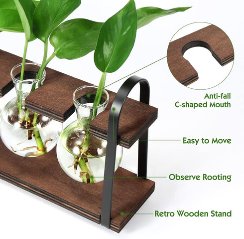 Bulb THYGIFTREE Plant Propagation Stations with Wooden Stand, Desktop Retro Plant Terrarium Vase for Indoor Hydroponic