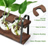 Bulb THYGIFTREE Plant Propagation Stations with Wooden Stand, Desktop Retro Plant Terrarium Vase for Indoor Hydroponic