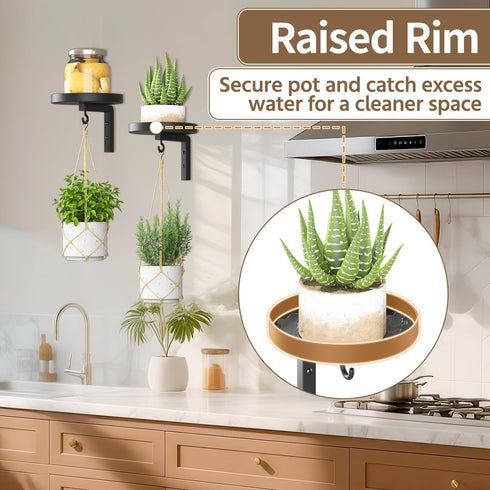 2Pcs 2 LASZOLA Plant Hangers Shelves Wall Mounted Indoor, Metal Window Plant Holders, Modern Floating Flower Display