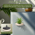 LNBNIEW 12 Pack (12, Air Plant Holder Magnet Wooden Air Plant Display Stand Small Hanging Planter Wall Mount Holder