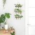 3 Mkono Plant Propagation Tubes, Tiered Wall Hanging Terrarium with Wooden Stand Flower Vase Test Tube Glass Planter