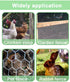 13.7" 157" 0.8" Vensovo Galvanized Chicken Wire Roll x - Hexagonal Chicken Wire Mesh for Garden Fence, Rabbit Fence