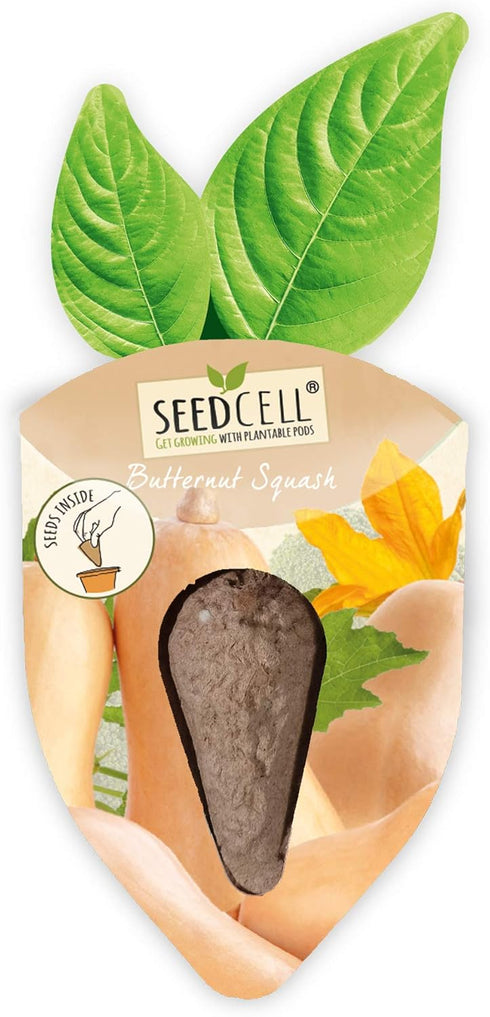 Pack 1 Vegtrug Seed Pods Kit - Vegetable Patch, Non-GMO Seeds with Fully Biodegradable Seed Pods, Contains Seeds