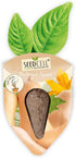 Pack 1 Vegtrug Seed Pods Kit - Vegetable Patch, Non-GMO Seeds with Fully Biodegradable Seed Pods, Contains Seeds