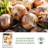 300+ Bulbs Walla Walla Sweet Spanish Onion Seeds (Allium cepa) Non-GMO Heirloom Seeds by Islas Garden Seeds, Extra