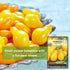 Packet (1) Sow Right Seeds - Yellow Pear Tomato Seeds for Planting - Non-GMO Heirloom with Instructions to Plant a Home
