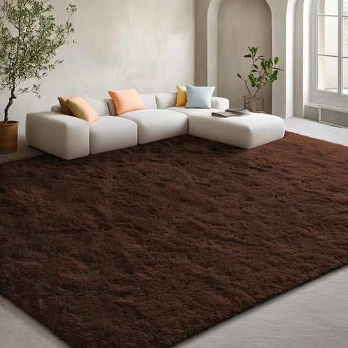 5x7 EVOIONOS Washable Large Area Rug for Living Room, Fluffy Shag Rug for Bedroom, Ultra Soft Plush Non Slip Carpet