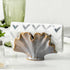 Uiddo Ceramic Sponge Holder,Sponge Holder for Kitchen Sink,Compact Sink Caddy Organizer-Scouring Pad and Dish